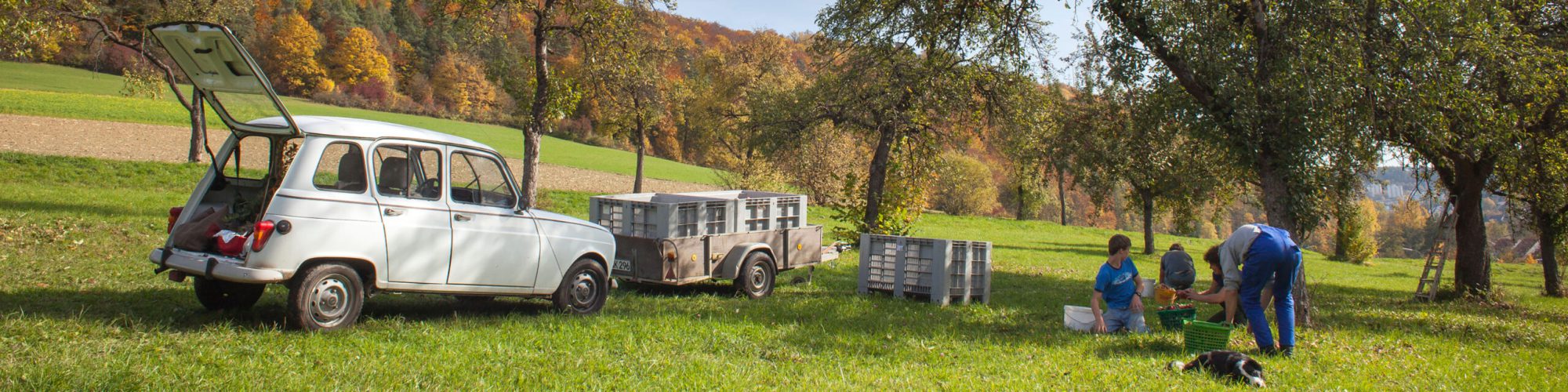 Duerr Fruchtsaefte Header