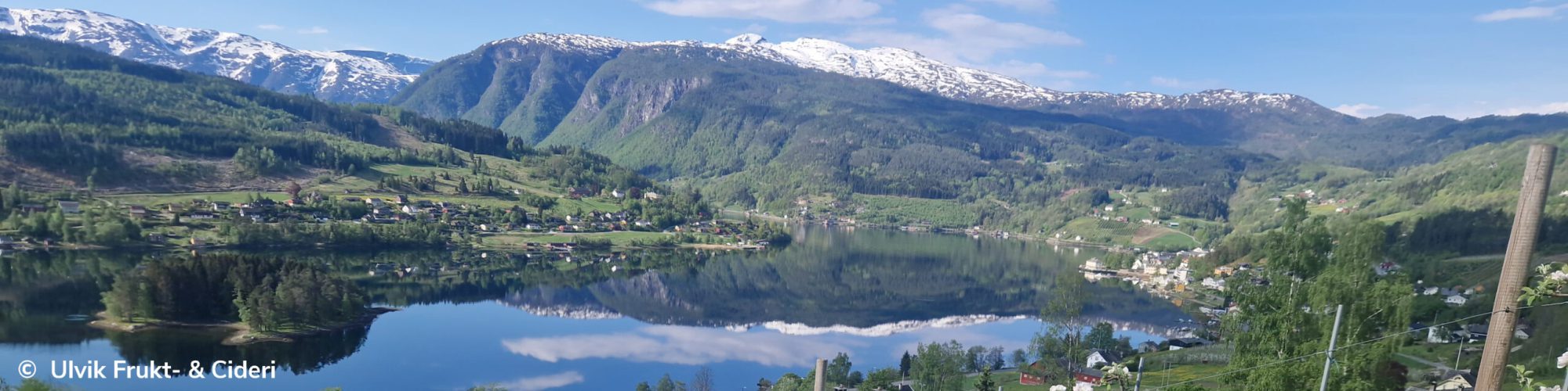 Ulvik Siderruta Header