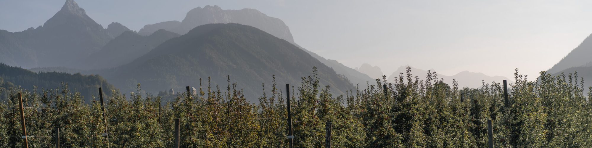 Veitlbauer_Oktober23-098 (1)